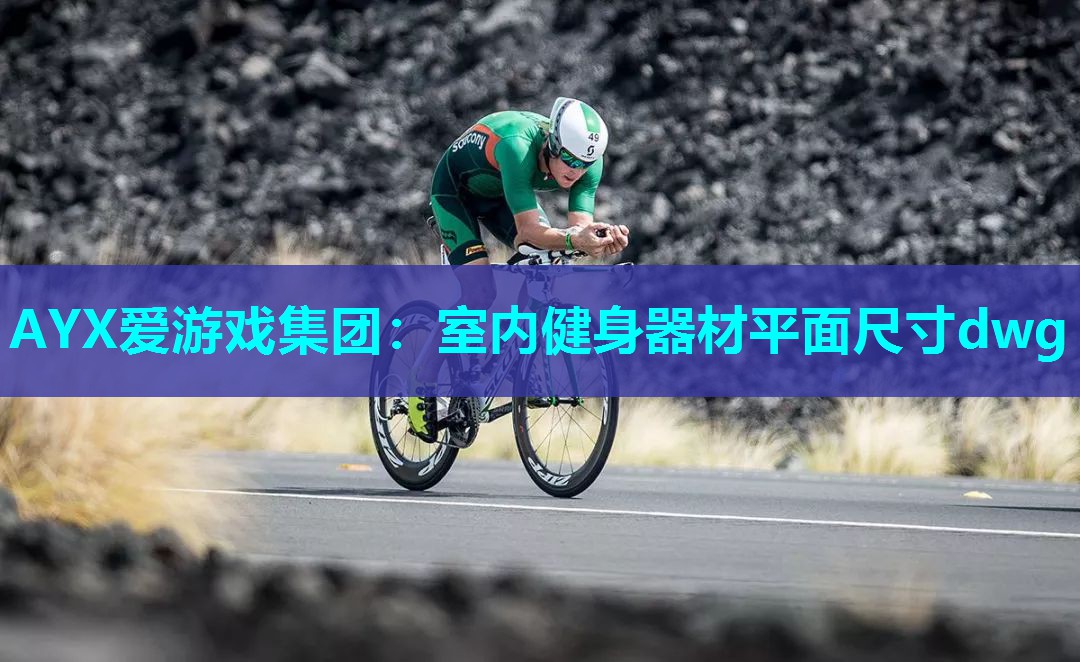 AYX爱游戏集团：室内健身器材平面尺寸dwg
