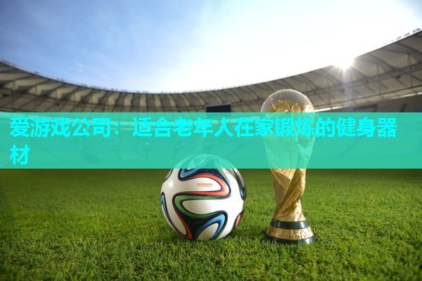 爱游戏公司：适合老年人在家锻炼的健身器材