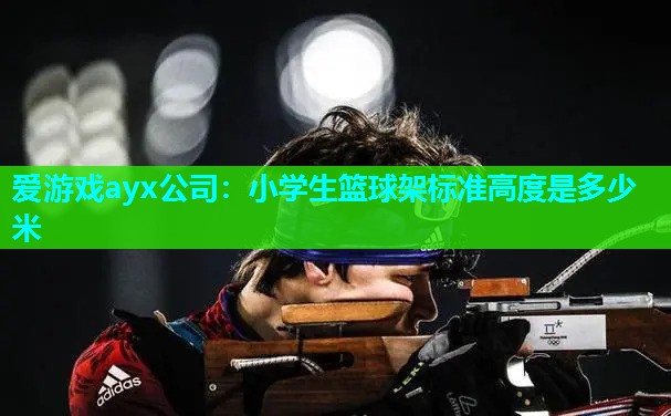 爱游戏ayx公司：小学生篮球架标准高度是多少米