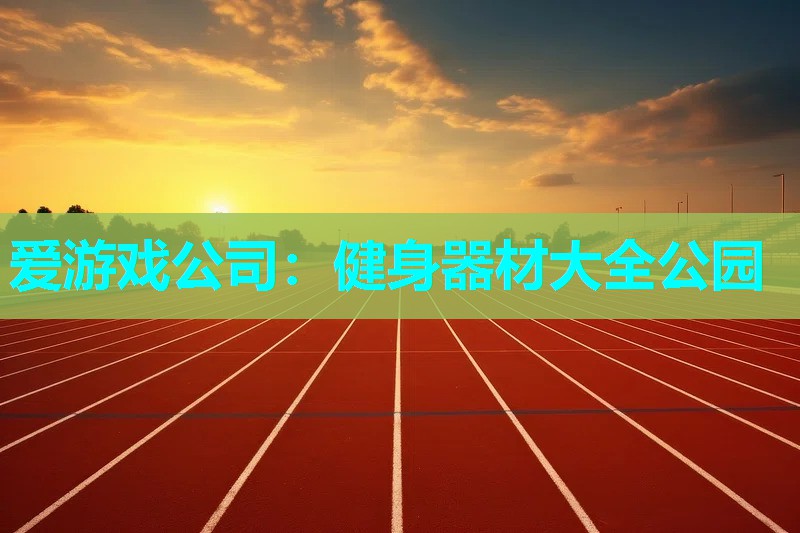 爱游戏公司：健身器材大全公园