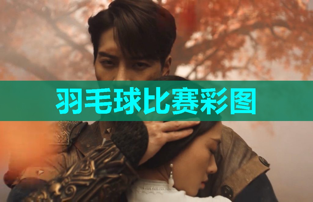 羽毛球比赛彩图