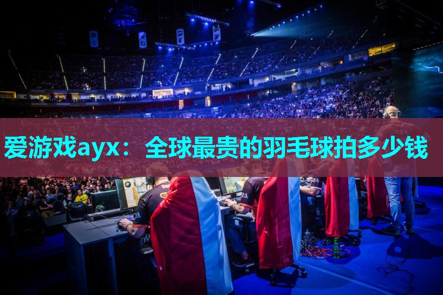 爱游戏ayx：全球最贵的羽毛球拍多少钱