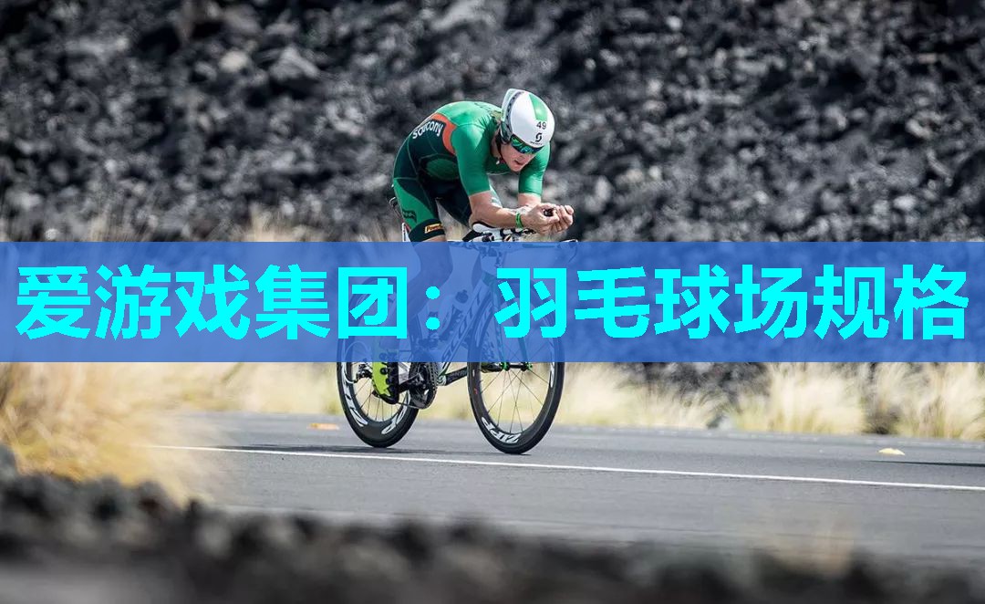 爱游戏集团：羽毛球场规格