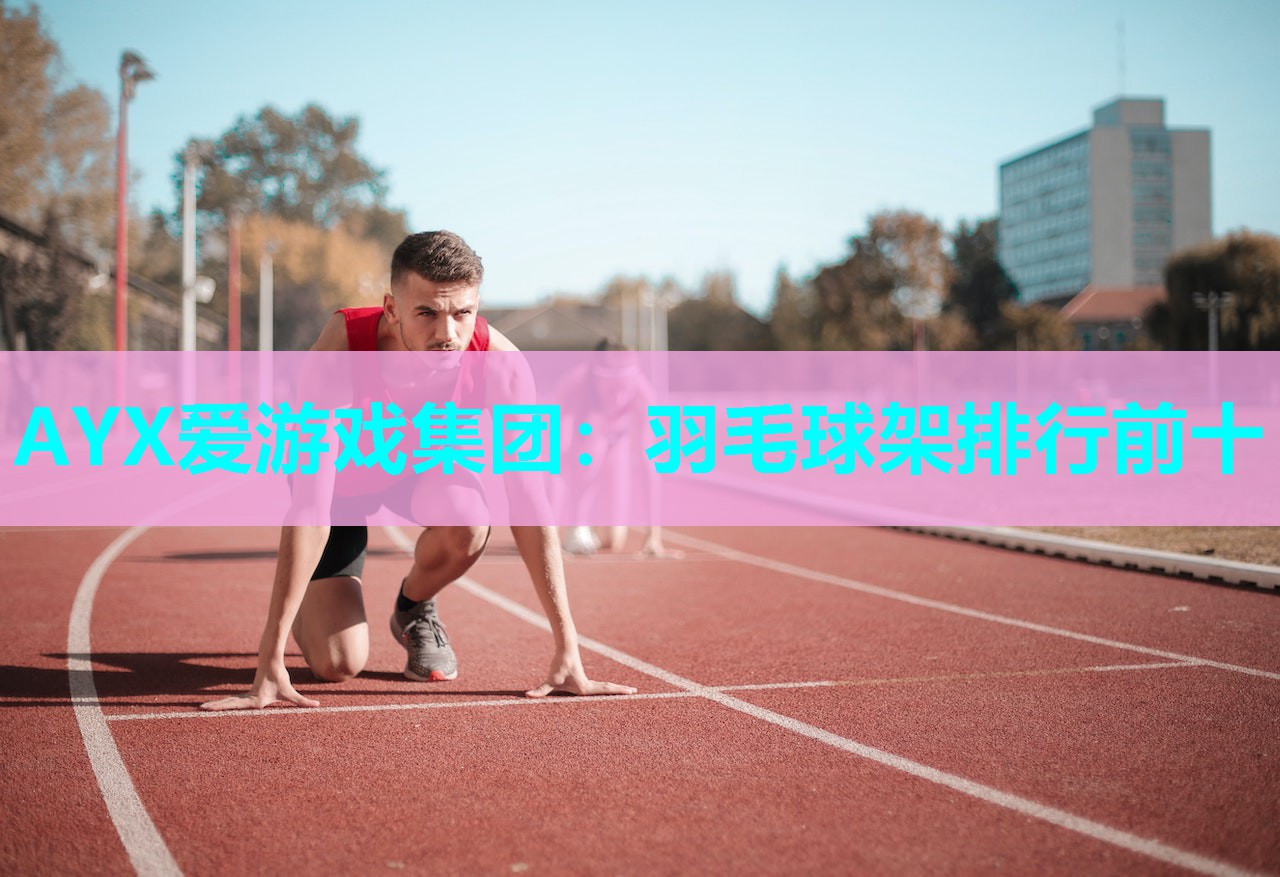 AYX爱游戏集团：羽毛球架排行前十