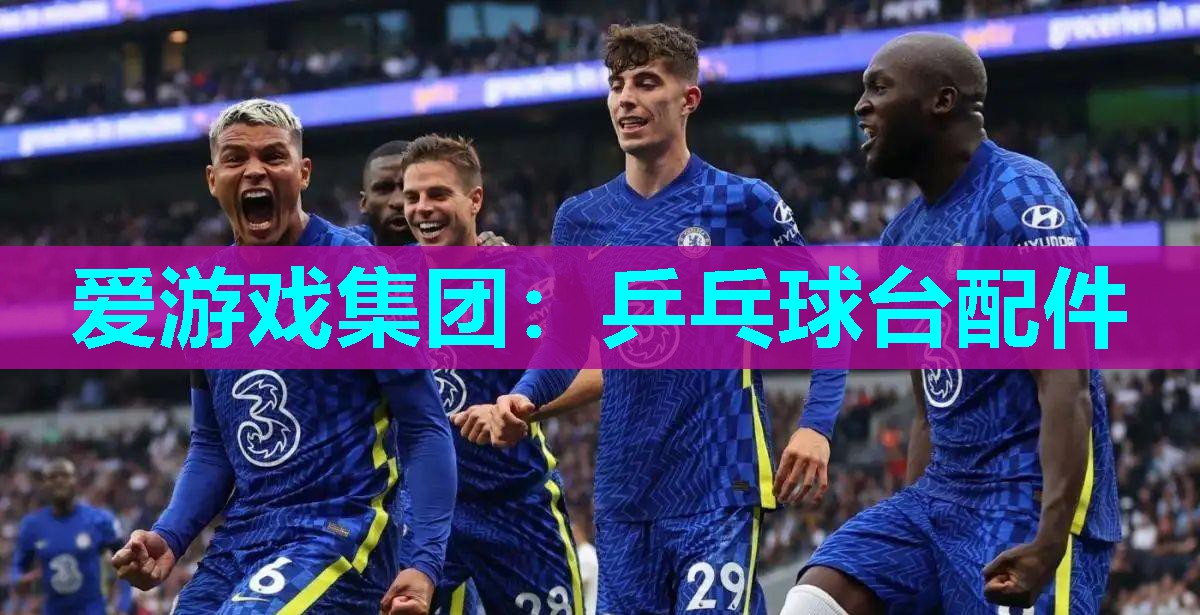爱游戏集团：乒乓球台配件