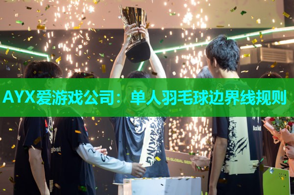 AYX爱游戏公司：单人羽毛球边界线规则