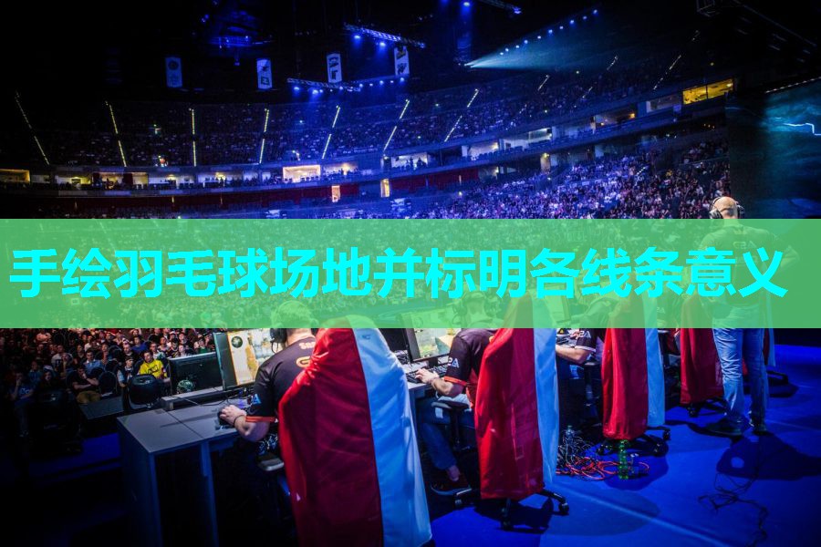手绘羽毛球场地并标明各线条意义