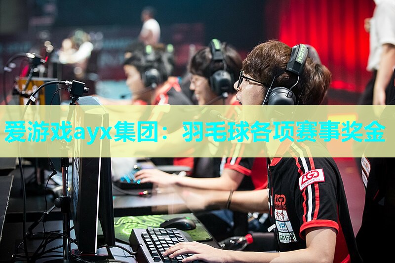 爱游戏ayx集团：羽毛球各项赛事奖金