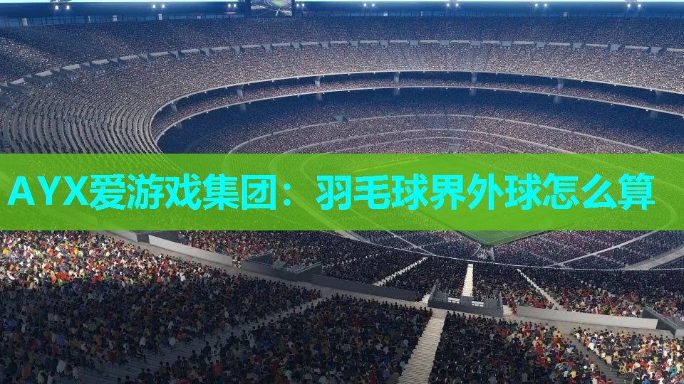 AYX爱游戏集团：羽毛球界外球怎么算