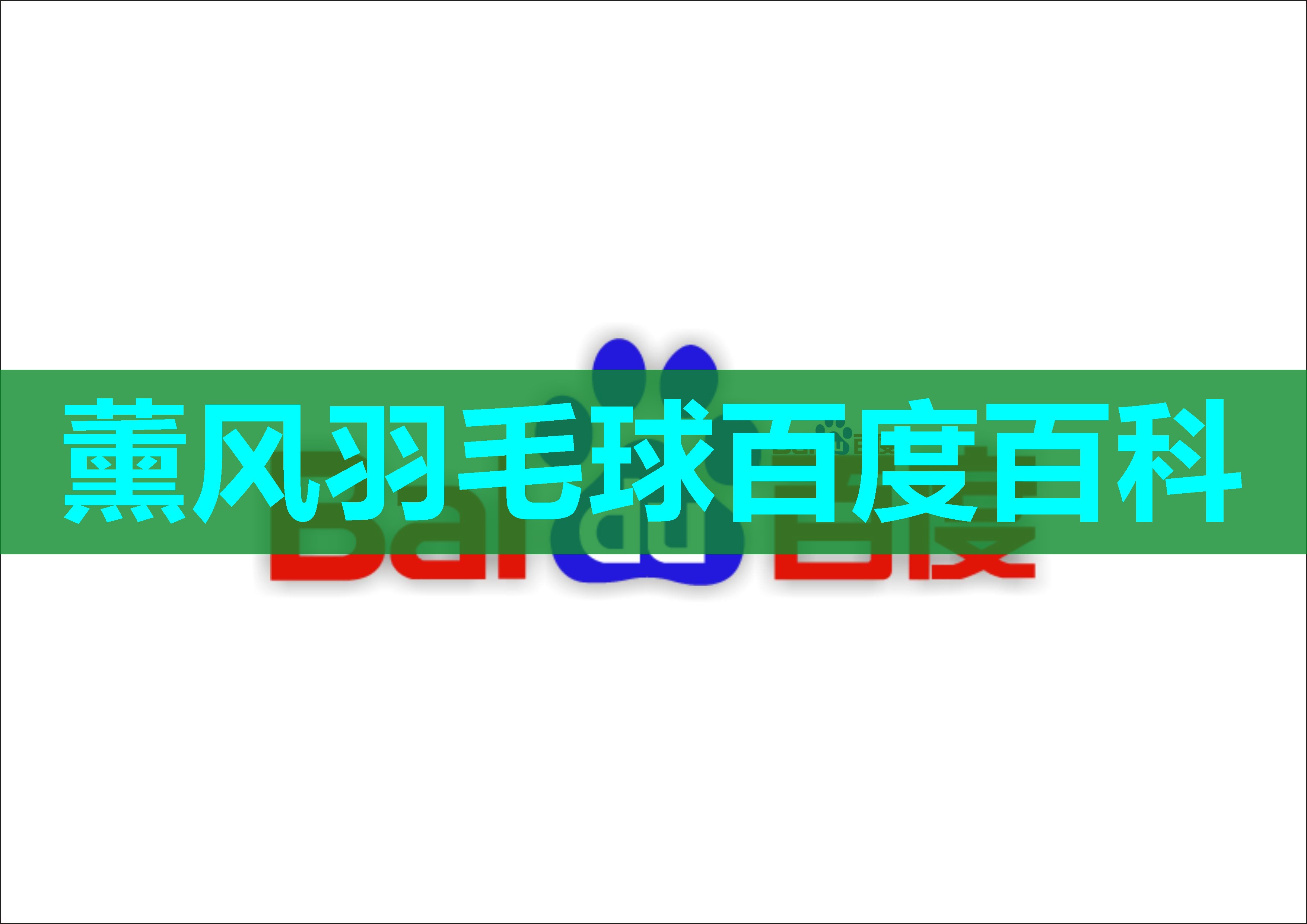 薰风羽毛球百度百科