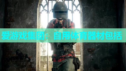 爱游戏集团：自用体育器材包括