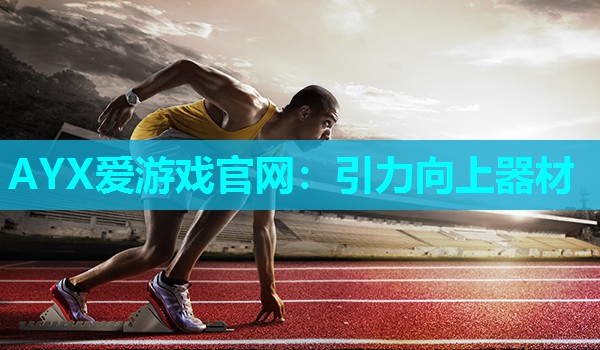 引力向上器材 引力向上器材