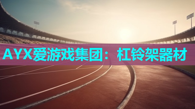 杠铃架器材 杠铃架器材