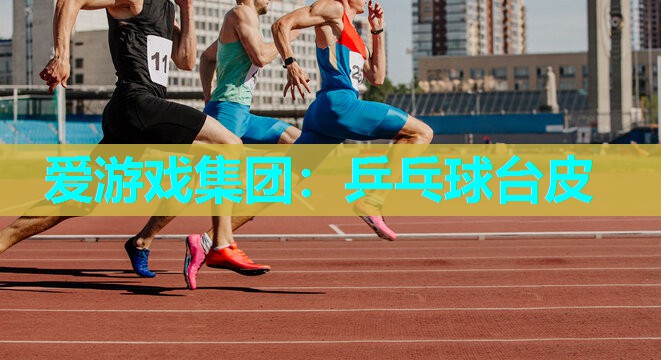 乒乓球台皮 乒乓球台皮
