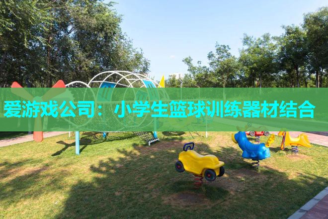 小学生篮球训练器材结合 小学生篮球训练器材结合