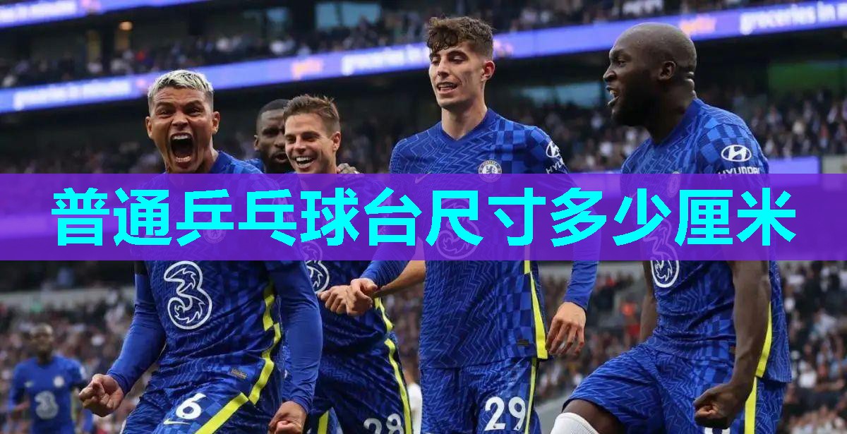 普通乒乓球台尺寸多少厘米 普通乒乓球台尺寸多少厘米