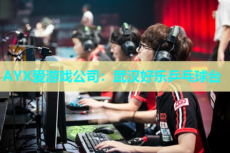 武汉好乐乒乓球台 武汉好乐乒乓球台