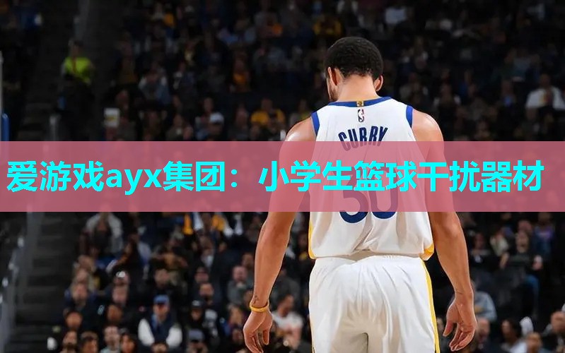 小学生篮球干扰器材 小学生篮球干扰器材