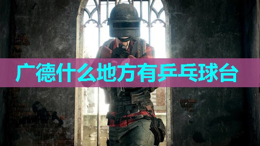 广德什么地方有乒乓球台 广德什么地方有乒乓球台