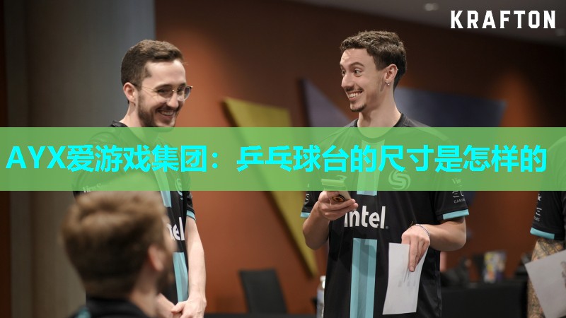 乒乓球台的尺寸是怎样的 乒乓球台的尺寸是怎样的
