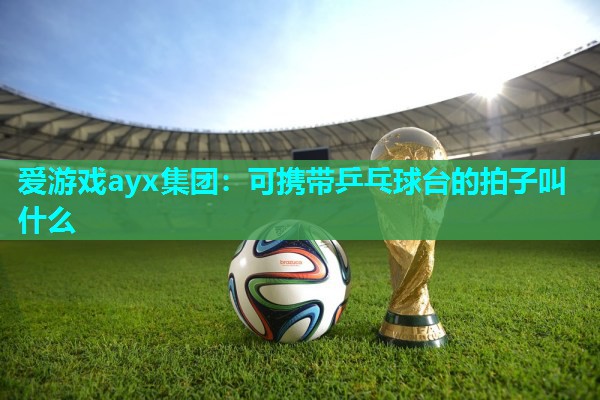 可携带乒乓球台的拍子叫什么 可携带乒乓球台的拍子叫什么