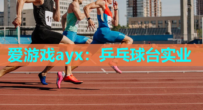乒乓球台实业 乒乓球台实业