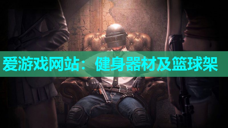 健身器材及篮球架 健身器材及篮球架
