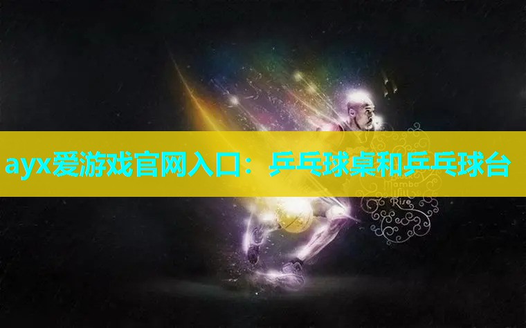 乒乓球桌和乒乓球台 乒乓球桌和乒乓球台