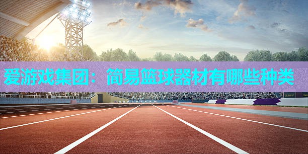 简易篮球器材有哪些种类 简易篮球器材有哪些种类