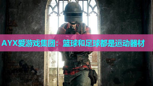 篮球和足球都是运动器材 篮球和足球都是运动器材
