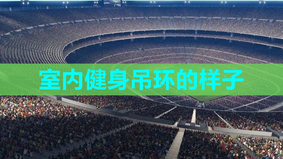 室内健身吊环的样子 室内健身吊环的样子