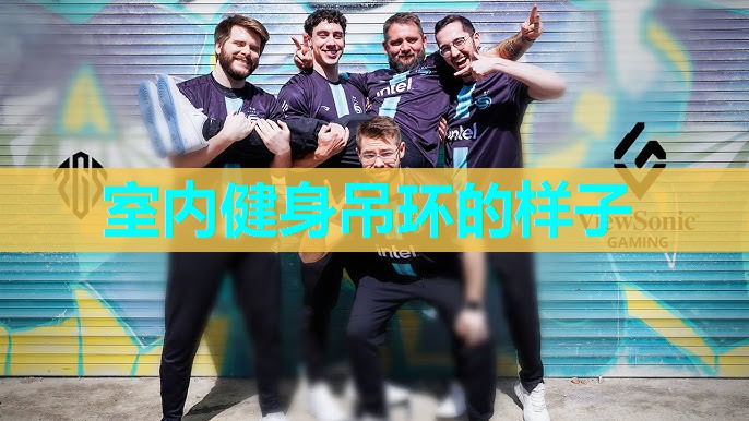室内健身吊环的样子 室内健身吊环的样子