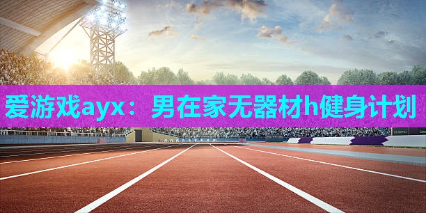 男在家无器材h健身计划 男在家无器材h健身计划