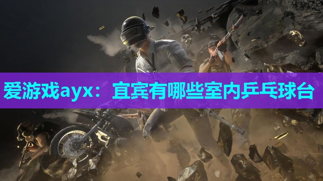 宜宾有哪些室内乒乓球台 宜宾有哪些室内乒乓球台
