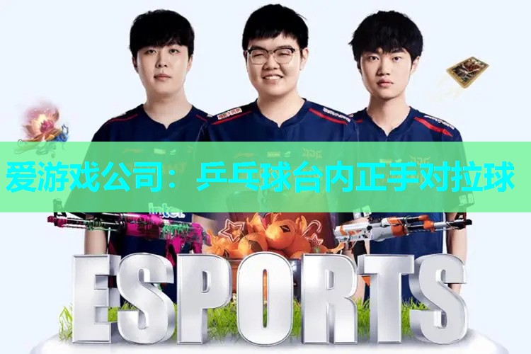 乒乓球台内正手对拉球 乒乓球台内正手对拉球