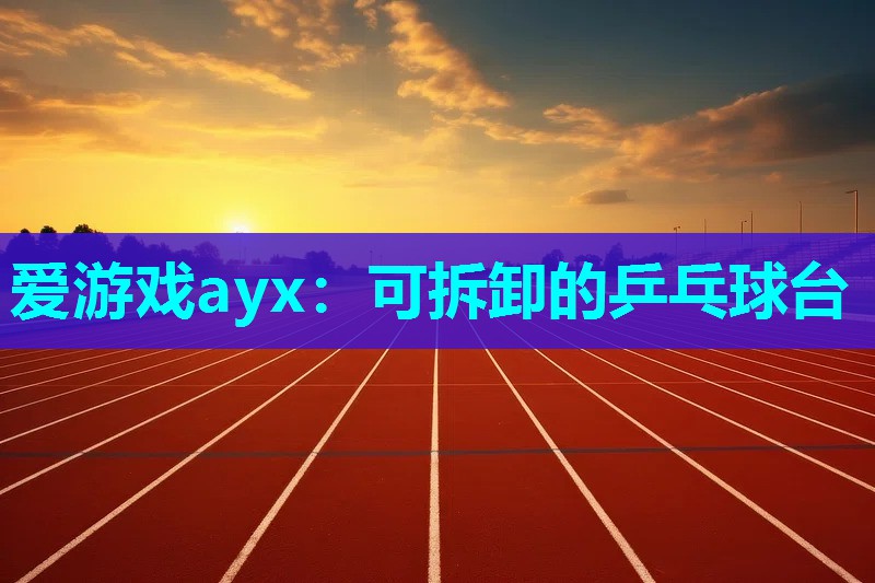 可拆卸的乒乓球台 可拆卸的乒乓球台