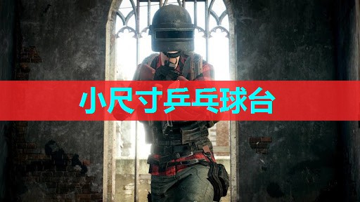 小尺寸乒乓球台 小尺寸乒乓球台