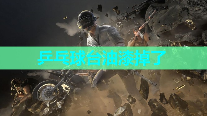 乒乓球台油漆掉了 乒乓球台油漆掉了