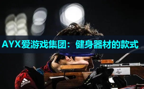 健身器材的款式 健身器材的款式
