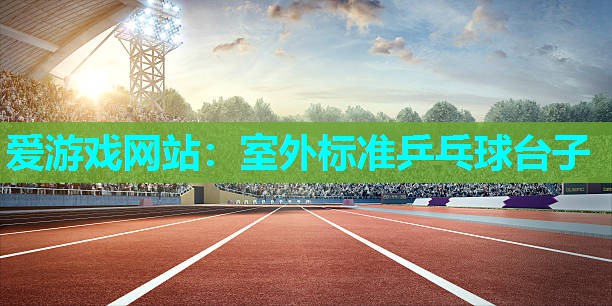 室外标准乒乓球台子 室外标准乒乓球台子