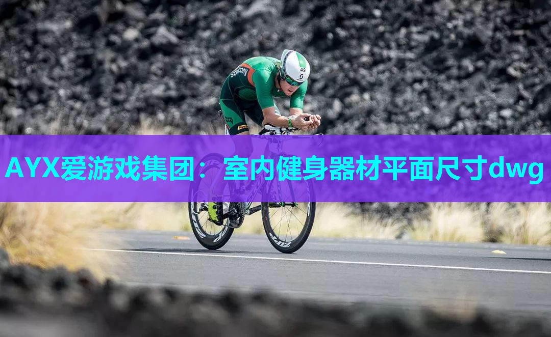 室内健身器材平面尺寸dwg 室内健身器材平面尺寸dwg
