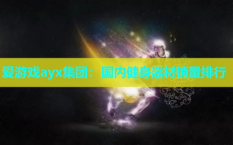 国内健身器材销量排行 国内健身器材销量排行
