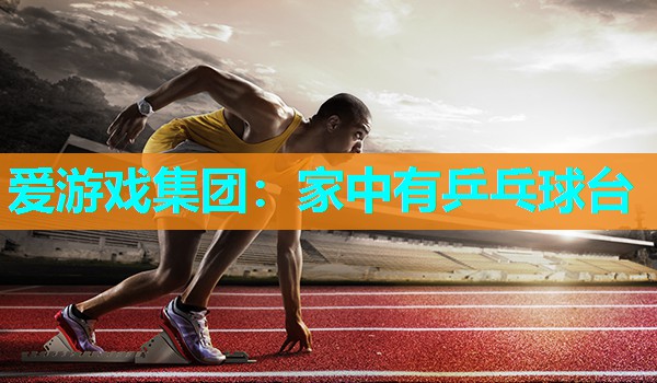 家中有乒乓球台 家中有乒乓球台