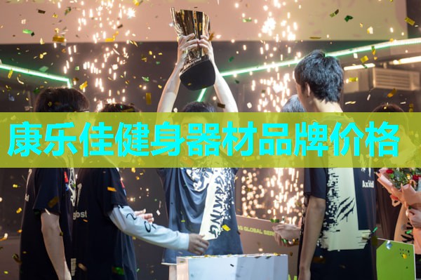 康乐佳健身器材品牌价格 康乐佳健身器材品牌价格