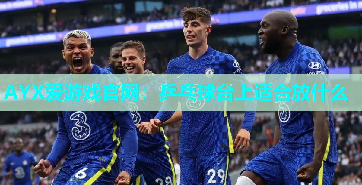 乒乓球台上适合放什么 乒乓球台上适合放什么