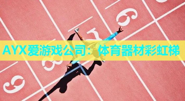 体育器材彩虹梯 体育器材彩虹梯
