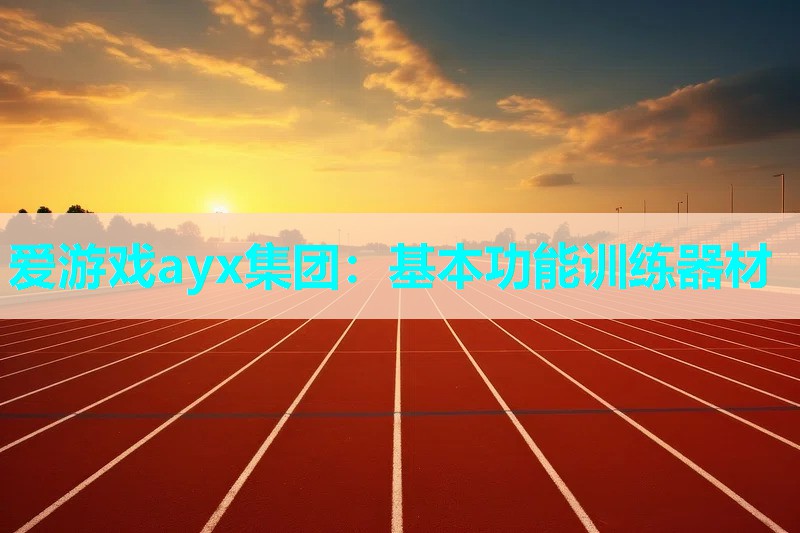 基本功能训练器材 基本功能训练器材