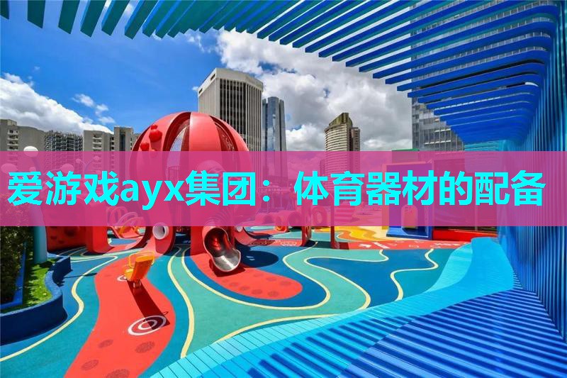 体育器材的配备 体育器材的配备