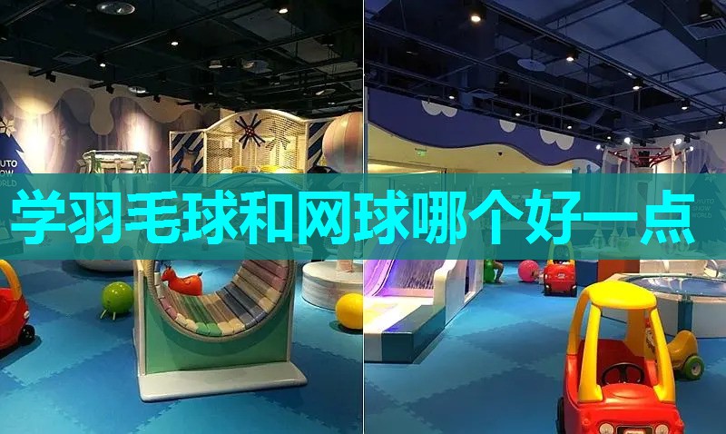 学羽毛球和网球哪个好一点 学羽毛球和网球哪个好一点
