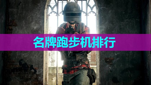 名牌跑步机排行 名牌跑步机排行